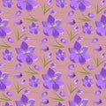 Spring beautiful violet crocuses pattern background on white.