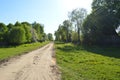 Spring in the Belarusian village. Spring. Grass.