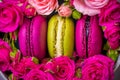 Spring berry color macaroons with roses background with love Royalty Free Stock Photo