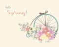 Spring bicycle