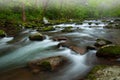 Spring, Big Creek in Fog Great Smoky Mountains Royalty Free Stock Photo