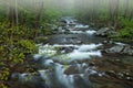 Spring Big Creek Great Smoky Mountains Royalty Free Stock Photo