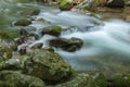 Spring Big Creek Great Smoky Mountains Royalty Free Stock Photo