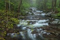 Spring, Big Creek Great Smoky Mountains Royalty Free Stock Photo