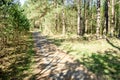 Spring bike and walking path near forest