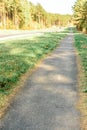 Spring bike and walking path near forest