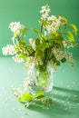 Spring bird-cherry blossom in vase over green background Royalty Free Stock Photo