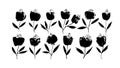 Spring black flowers hand drawn vector set. Royalty Free Stock Photo