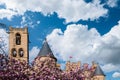 Spring Bloom at Olite Castle