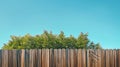 spring bloom tree in backyard and wooden garden fence Royalty Free Stock Photo