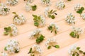 Spring blooming branches on peach wooden background. Apple, cherry and pear blossoms