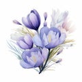 Watercolor Crocus Flowers And Leaves Illustration Royalty Free Stock Photo