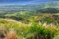 Spring blooming Golan Heights