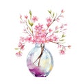 Spring blooming Twig in a glass vase. Pink cherry blossoms flowers. watercolor illustration