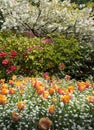 Spring Blooms in Buchart Formal Gardens