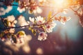 Spring blossom background. Nature scene with blooming tree and sun flare. Spring flowers. Beautiful orchard