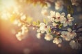 Spring blossom background. Nature scene with blooming tree and sun flare. Spring flowers. Beautiful orchard