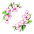 Spring Blossom Border. Watercolor illustration