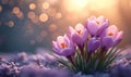 Spring Blossom: Elegant Crocus Vector with Bright Atmosphere and Versatile Layout