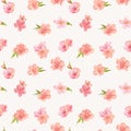 Spring Blossom Flowers Background Royalty Free Stock Photo