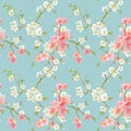 Spring Blossom Flowers Background Royalty Free Stock Photo