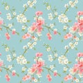 Spring Blossom Flowers Background