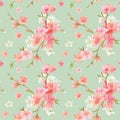 Spring Blossom Flowers Background Royalty Free Stock Photo