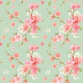 Spring Blossom Flowers Background