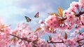 Spring blossom sakura background with butterfly