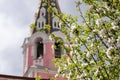 Spring blossom tree on a church background. Easter celebration