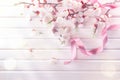 Spring blossom on white wooden plank background Royalty Free Stock Photo