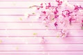 Spring blossom on white wooden plank background Royalty Free Stock Photo