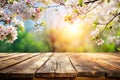 Spring Blossom with Wooden Table Background Royalty Free Stock Photo