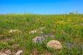 The spring blossoming Golan heights