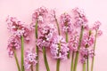 Spring blossoming pink hyacinths on light pastel background, springtime blooming flowers festive card