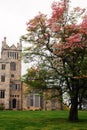 A blossoming tree near Lyndhurst Castle Royalty Free Stock Photo