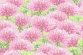 Spring blossoming trees seamless pattern.