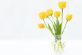 Spring blossoming tulips, yellow flowers posy on light background, bright floral card