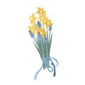 Spring blossoming yellow daffodils and blue hyacinths , springtime blooming muscari and narcissus flowers bouquet Royalty Free Stock Photo