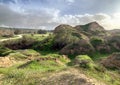 Spring blossoms in the Nahal Besor Nature Reserve Royalty Free Stock Photo