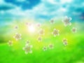 Spring blur background Royalty Free Stock Photo