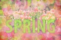 Spring blur background