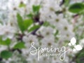 Spring blurred background