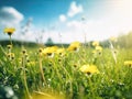Spring blurred background, green grass and sky Royalty Free Stock Photo