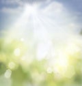 Spring bokeh background