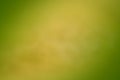 Spring bokeh nature abstract background Green leaves blurred, beautiful in the spring or summer Royalty Free Stock Photo