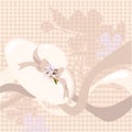 Spring Bonnet Background