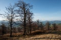 Spring on Borzhava range in Carpathian mountains