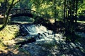 Spring of the bosna river