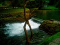 Spring of the Bosna river